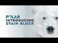 Polar Stain Block Paint | White Interior Stain Blocking Undercoat