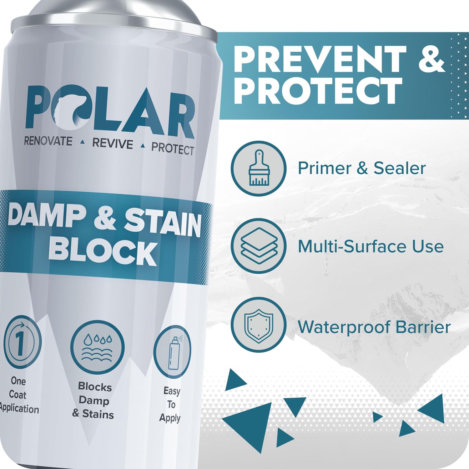 damp proof paint