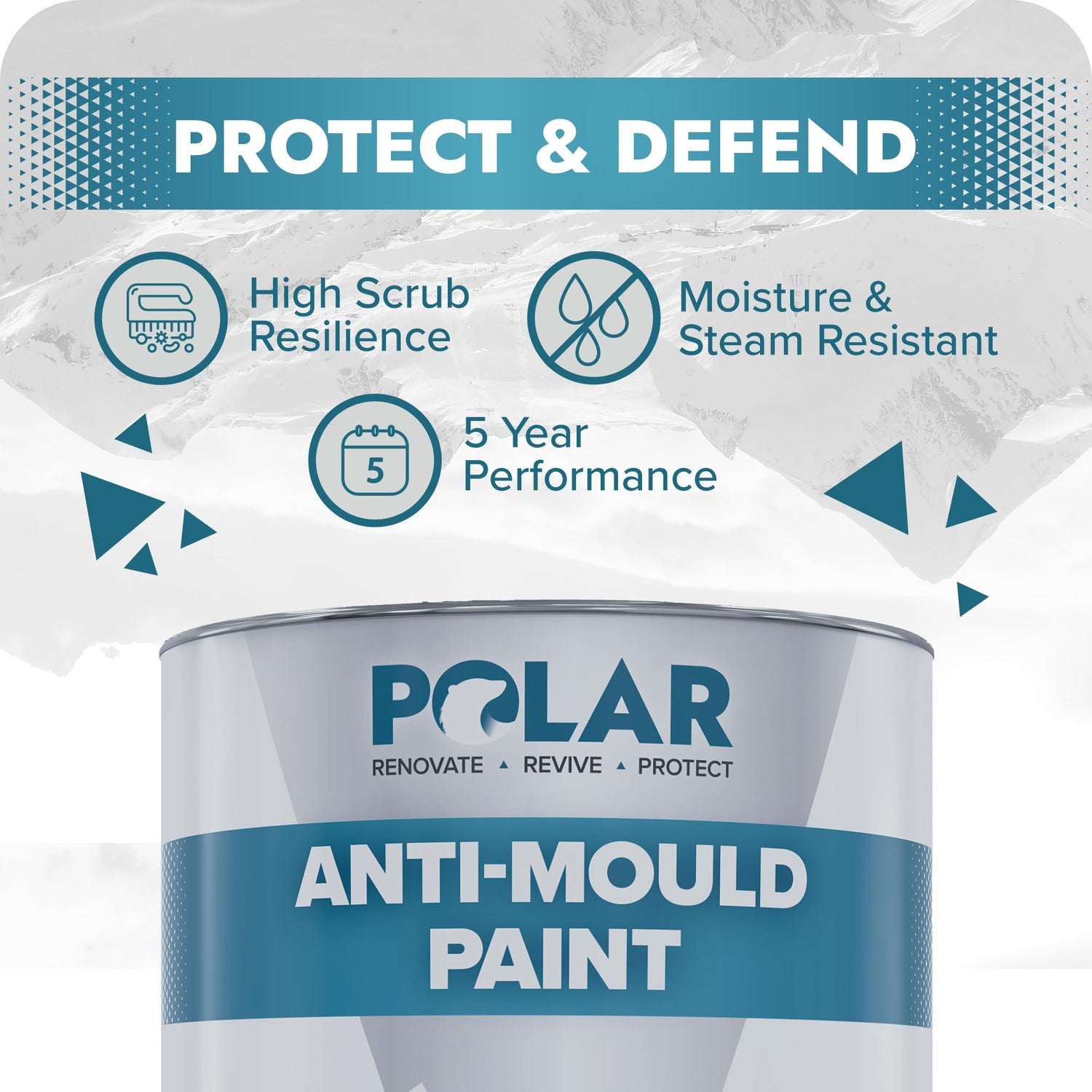 mould resistant paint