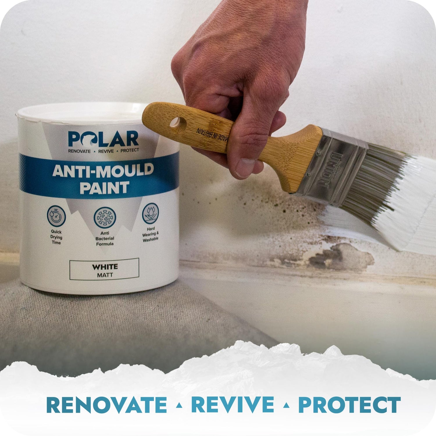 mould resistant paint