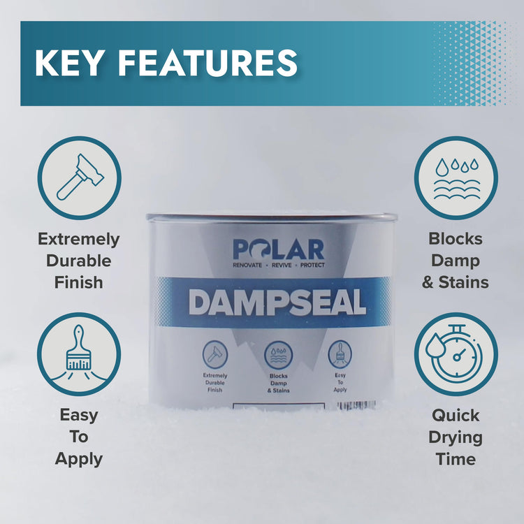DampSeal Paint
