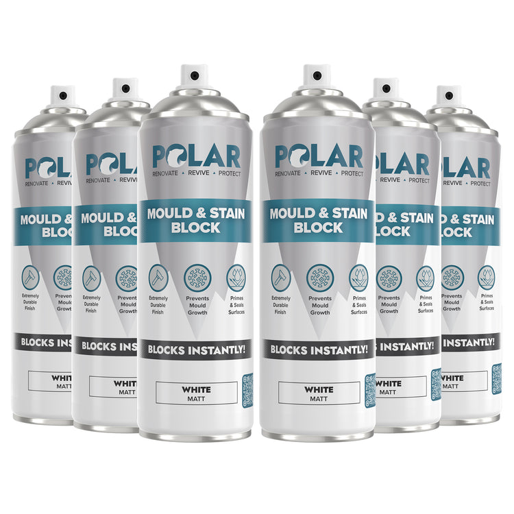 stain blocking paint