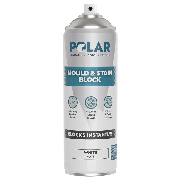 stain blocking paint